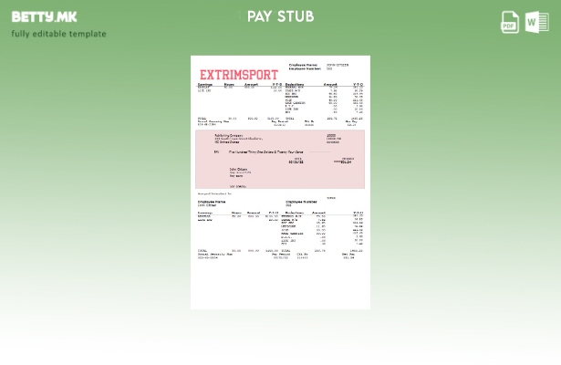 Модерен стил Extrim спортска компанија шаблон за изјава за заработка целосно уре